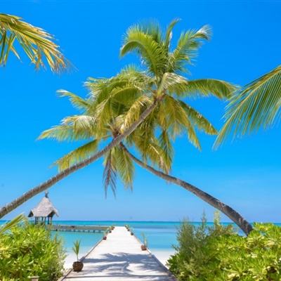 竞彩足球app官网下载