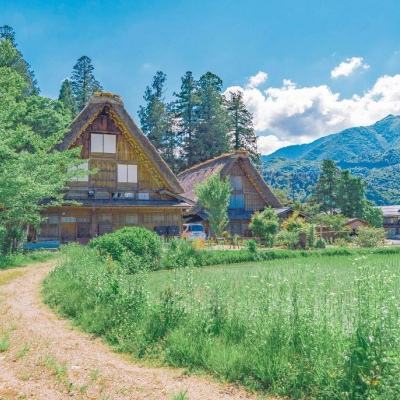 大发黄金版888下载app下载